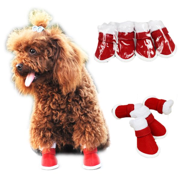 Носки на праздник для собаки