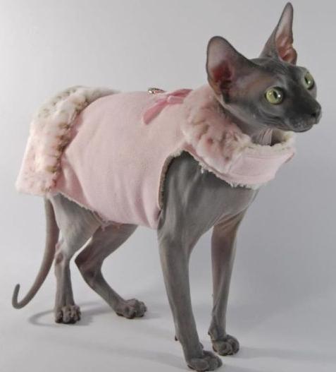 Шьем одежду для кота и Как сделать выкройку и сшить комбинезон или куртку?