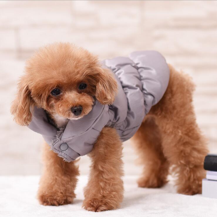 Теплая куртка для собаки