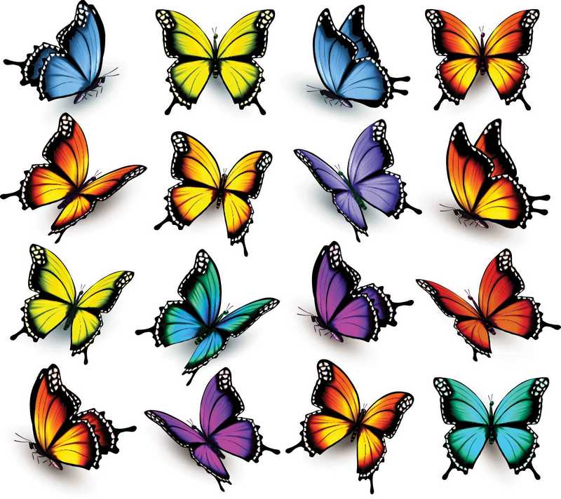 Для какого стиля подходят декоративные бабочки?